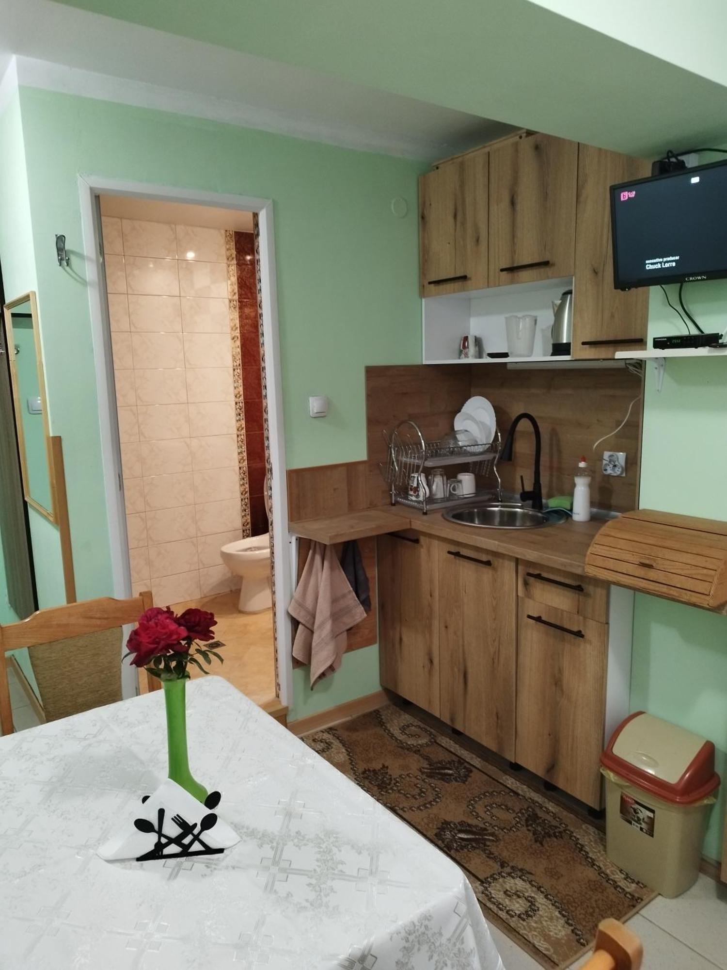 Aleks Guest House サモコフ エクステリア 写真